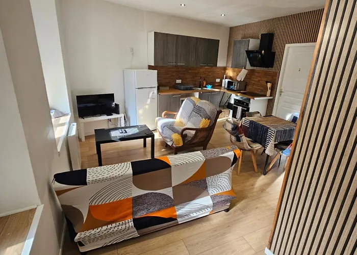 T3 Entier Confortable Centre Historique De Gare A 10 Min A Pied 5 Personnes